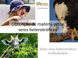 Prof Ana Rita Rainho Obteno de matria pelos