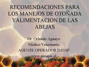 RECOMENDACIONES PARA LOS MANEJOS DE OTOADA YALIMENTACION DE