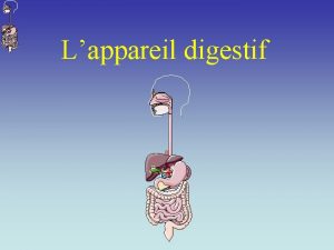 Lappareil digestif Appareil digestif Bouche ou cavit buccale