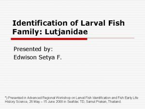 Identification of Larval Fish Family Lutjanidae Presented by