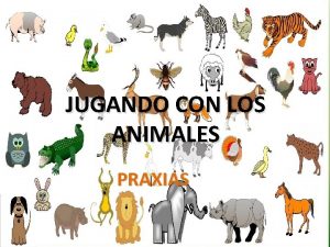 JUGANDO CON LOS ANIMALES PRAXIAS JIRAFA ESTIRAMOS LA