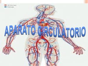 EL APARATO CIRCULATORIO Es un aparato por lo