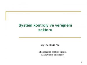 Systm kontroly ve veejnm sektoru Mgr Bc David