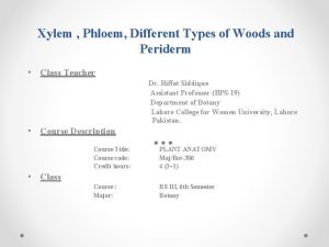 Types of xylem and phloem