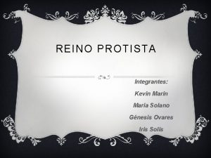 REINO PROTISTA Integrantes Kevin Mara Solano Gnesis Ovares