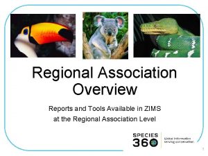 Regional Association Overview Reports and Tools Available in