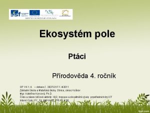 Ekosystm pole Ptci Prodovda 4 ronk OP VK