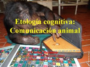 Etologa cognitiva Comunicacin animal UNIVERSIDAD DE BUENOS AIRES