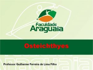 Osteichthyes Professor Guilherme Ferreira de Lima Filho Osteo