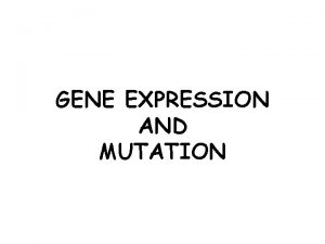GENE EXPRESSION AND MUTATION GENE EXPRESSION IN PROKARYOTES