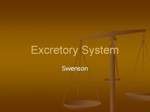 Excretory System Swenson Excretion Removal of nitrogenous waste