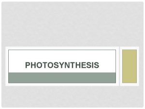 What happens during photosynthesis