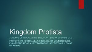 Kingdom Protista 3 GROUPS OF PHYLA ANIMALLIKE PLANTLIKE