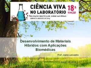 Desenvolvimento de Materiais Hbridos com Aplicaes Biomdicas Prof