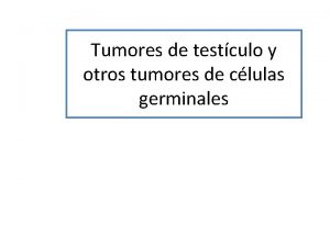 Tumores de celulas germinativas