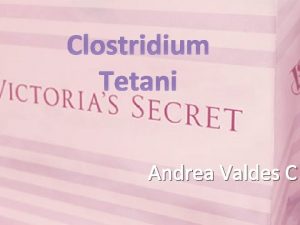 Clostridium Tetani Andrea Valdes C Es de forma