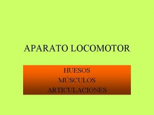 APARATO LOCOMOTOR HUESOS MSCULOS ARTICULACIONES HUESOS Son rganos