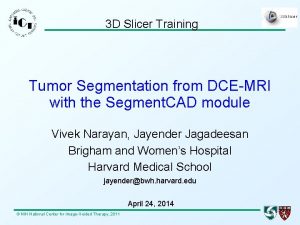 3 D Slicer Training Tumor Segmentation from DCEMRI