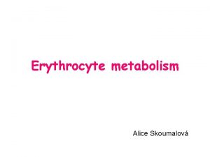 Erythrocyte metabolism Alice Skoumalov Erythrocytes deliver oxygen to