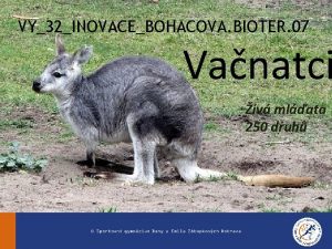 VY32INOVACEBOHACOVA BIOTER 07 Vanatci iv mlata 250 druh