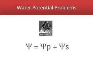 Water Potential Problems Water Potential Water potential of