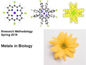 Research Methodology Spring 2019 Metals in Biology Bioinorganic