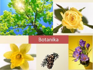 Botanika Botanika nauka o rostlinch Vdn obory botaniky