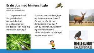 En rødkælk et grantræ og