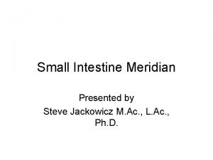 Small Intestine Meridian Presented by Steve Jackowicz M