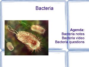 Bacteria Agenda Bacteria notes Bacteria video Bacteria questions