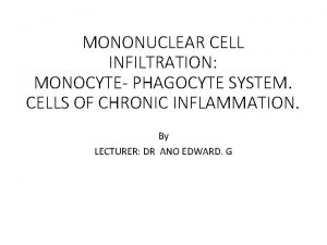 MONONUCLEAR CELL INFILTRATION MONOCYTE PHAGOCYTE SYSTEM CELLS OF