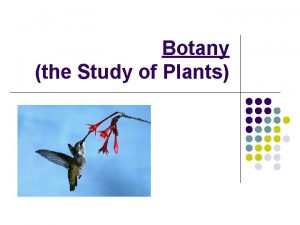 Botany the Study of Plants General Plant Review