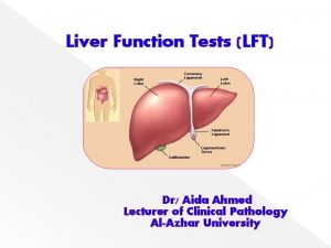 Liver Function Tests LFT Dr Aida Ahmed Lecturer