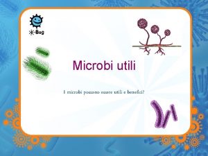 Microbi utili I microbi possono essere utili e