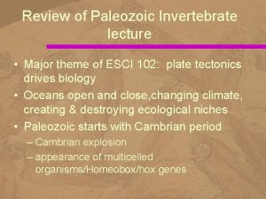 Review of Paleozoic Invertebrate lecture Major theme of