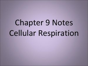 Chapter 9 Notes Cellular Respiration Cellular Respiration Process
