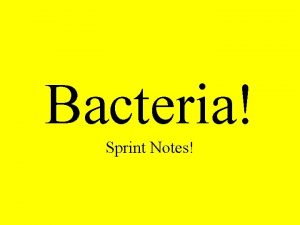 Bacteria Sprint Notes Bacteria Singlecelled microorganisms which can