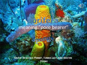 meaning pore bearer GROUP 36 JESSICA PENNEY TONIKA