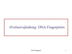 velsesvejledning DNAFingerprints DNAFingerprint 1 Rr til hver gruppe