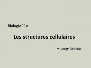 Biologie 11 e Les structures cellulaires M Jorge