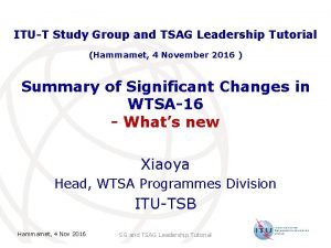 ITUT Study Group and TSAG Leadership Tutorial Hammamet