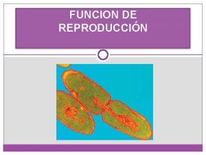 FUNCION DE REPRODUCCIN 1 LA REPRODUCCIN Y SUS