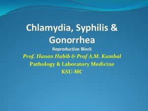Chlamydia trachomatis diagnosis