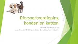 Diersoortverdieping honden en katten Basisdeel KD Dierverzorging Lesstof