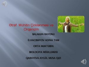 traf Mhitin irklnmsi v Orqanizm BALAKN RAYONU HACIBYOV