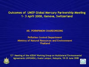 Outcomes of UNEP Global Mercury Partnership Meeting 1
