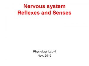 Nervous system Reflexes and Senses Physiology Lab4 Nov