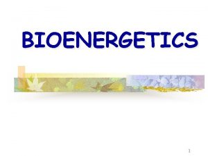 BIOENERGETICS 1 What is Bioenergetics The study of