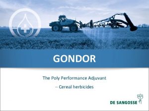 GONDOR The Poly Performance Adjuvant Cereal herbicides CEREAL