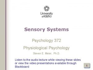 Sensory Systems Psychology 372 Physiological Psychology Steven E